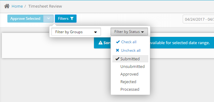 Timesheet Review Filters