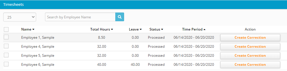 Hour Timesheet Correction Timesheet