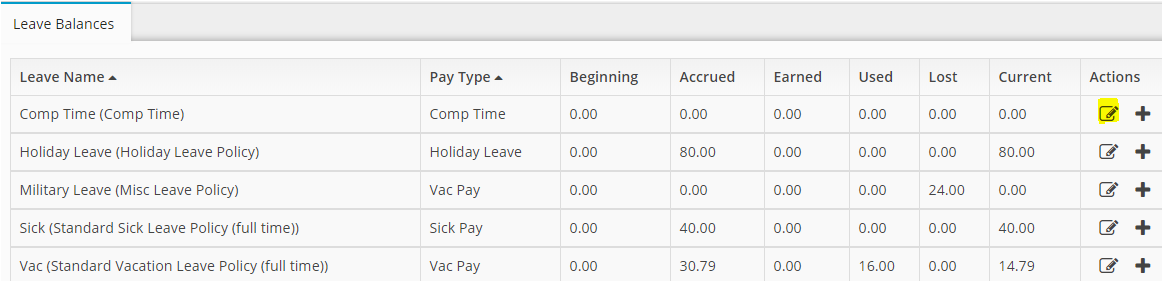 Employee Leave Balances